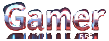 gamer 55 logo